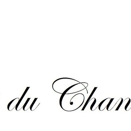 Logis Du Chandelier Le Puy-en-Velay Exterior photo